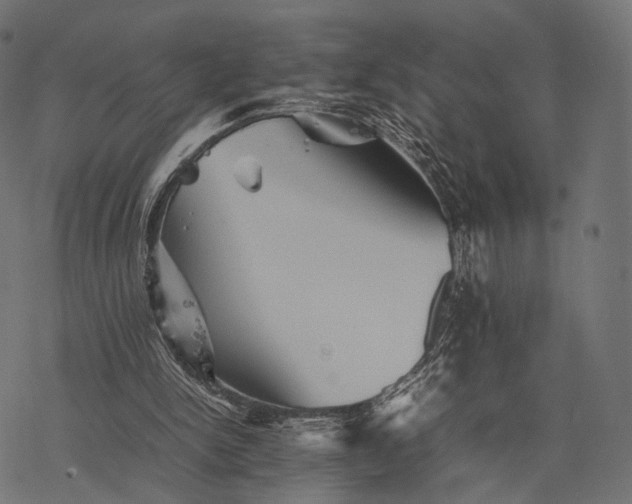 X0000077290150200611031559