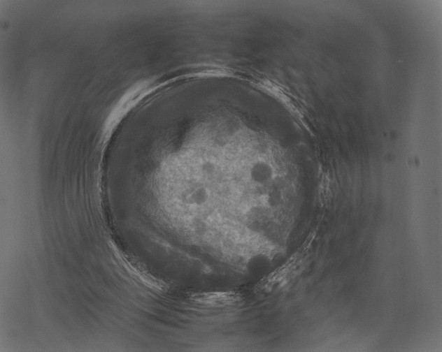 X0000077290151200611031559