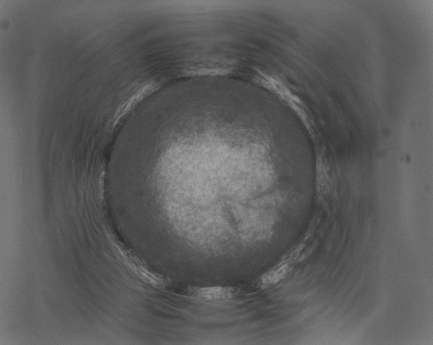 X0000077290153200611031559