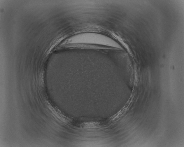 X0000077290154200611031559