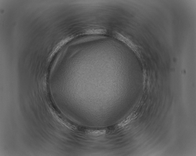 X0000077290155200611031559