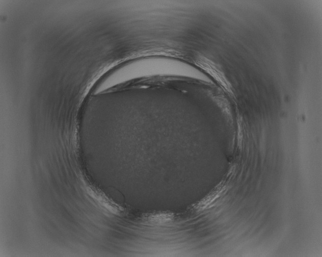 X0000077290156200611031559