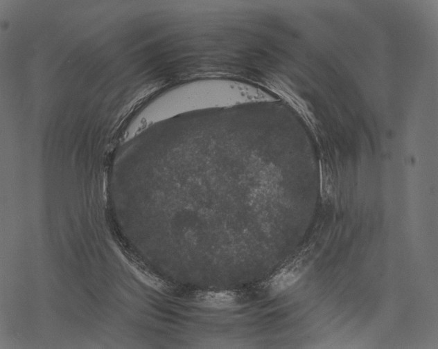 X0000077290157200611031559