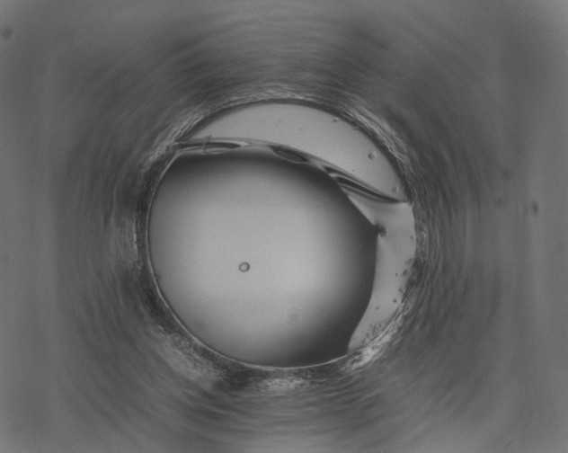 X0000077290158200611031559