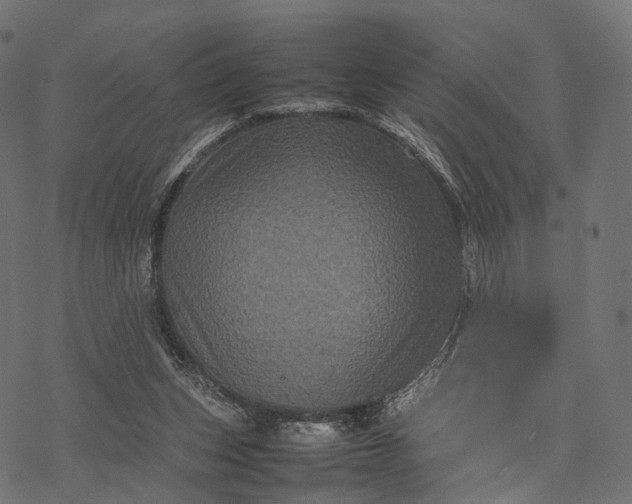 X0000077290159200611031559