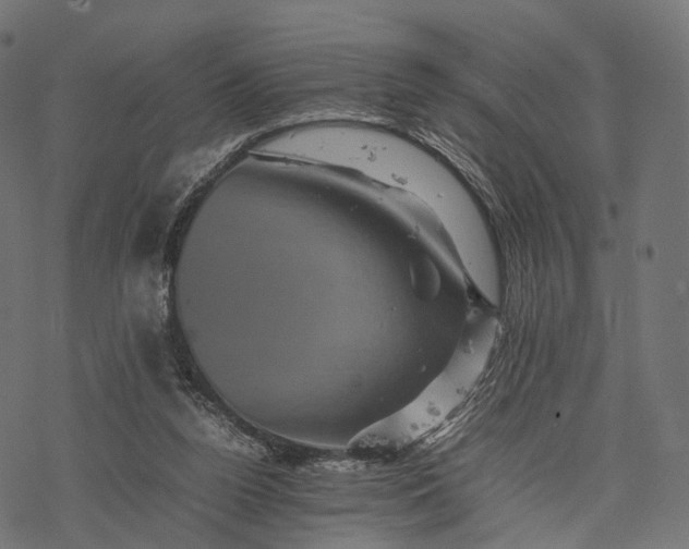 X0000077290160200611031559