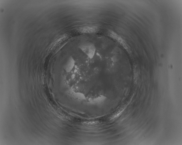 X0000077290161200611031559