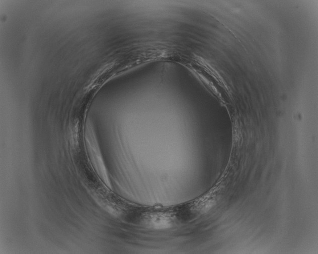 X0000077290163200611031559