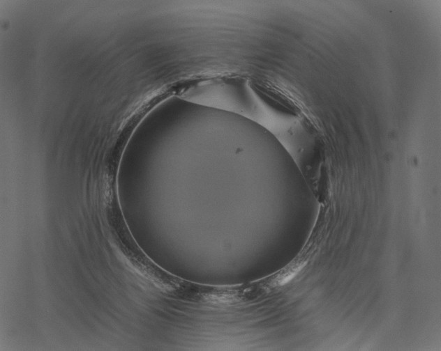 X0000077290164200611031559