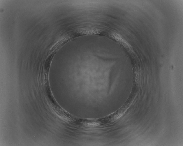 X0000077290165200611031559