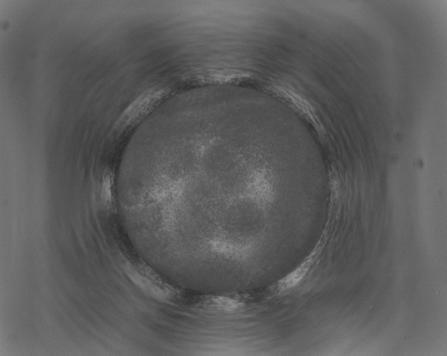 X0000077290166200611031559