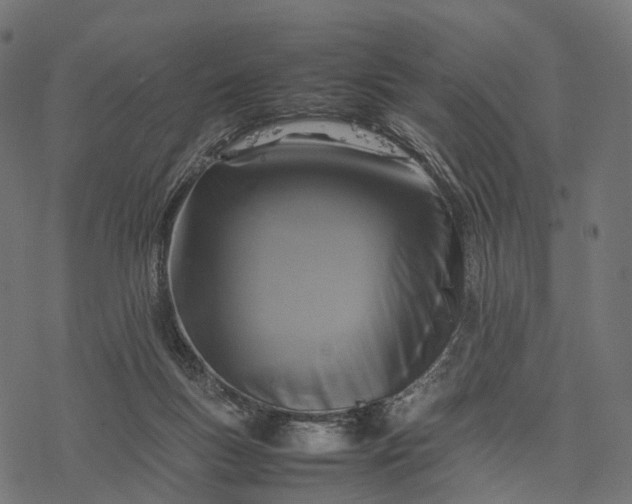 X0000077290167200611031559