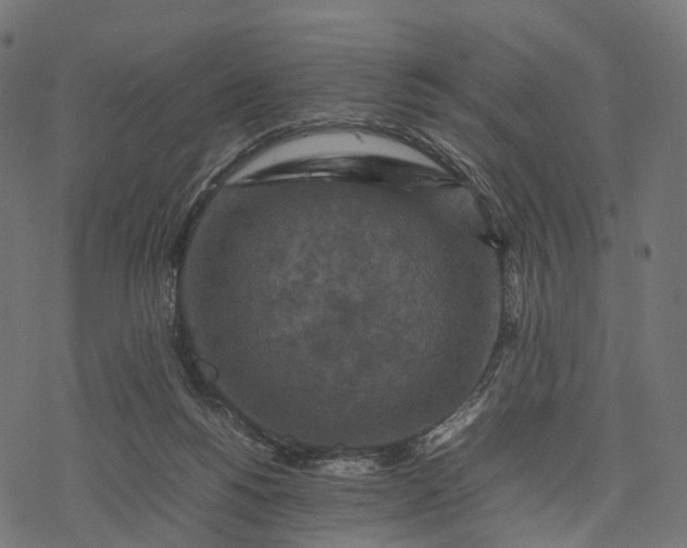 X0000077290168200611031559