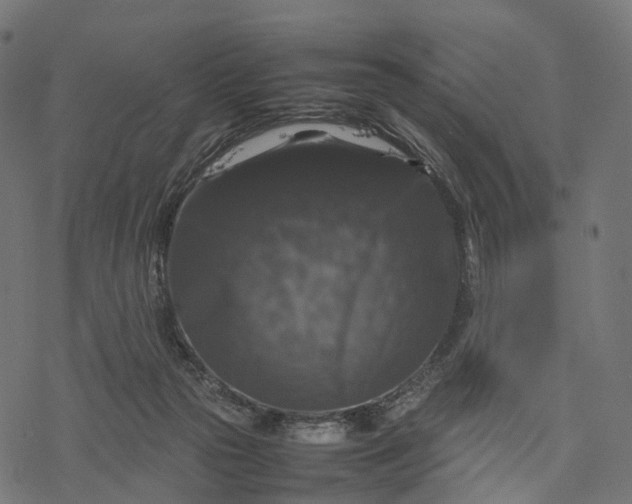 X0000077290169200611031559