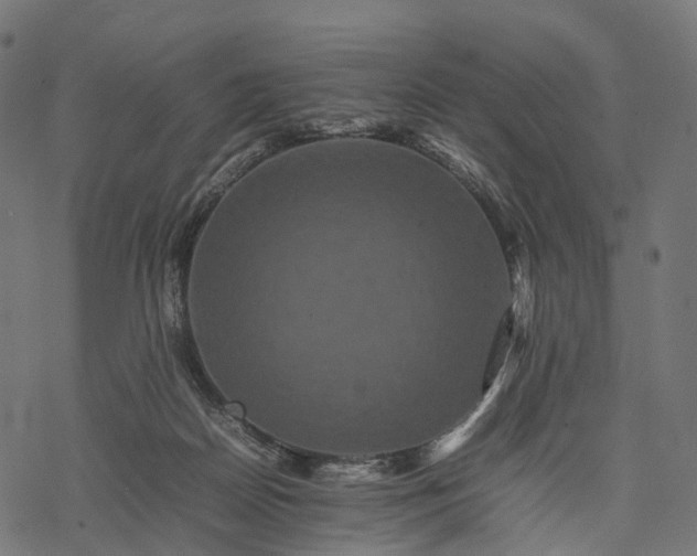 X0000077290170200611031559