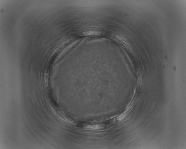 X0000077290171200611031559