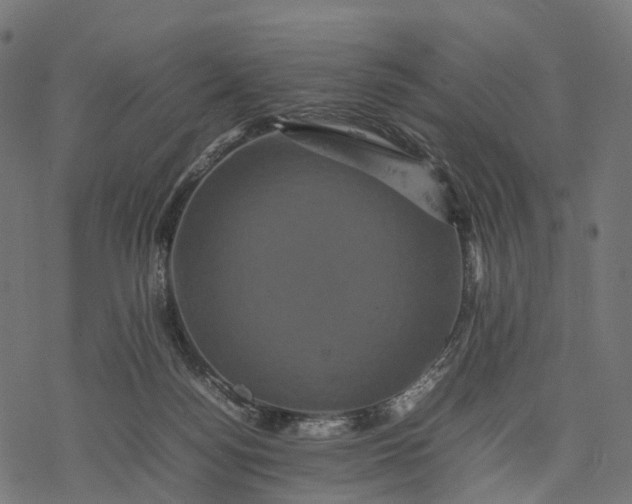 X0000077290172200611031559