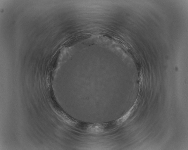 X0000077290174200611031559