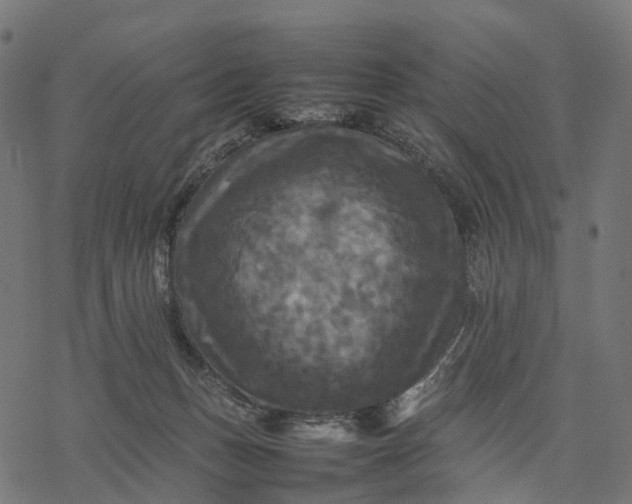 X0000077290175200611031559