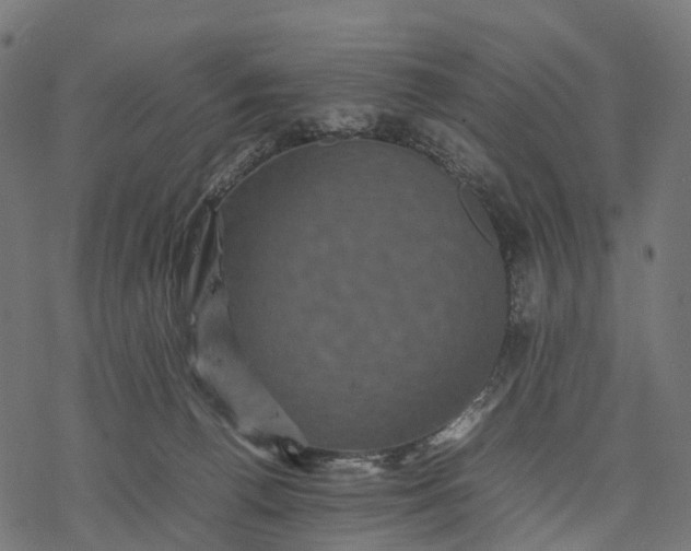 X0000077290176200611031559