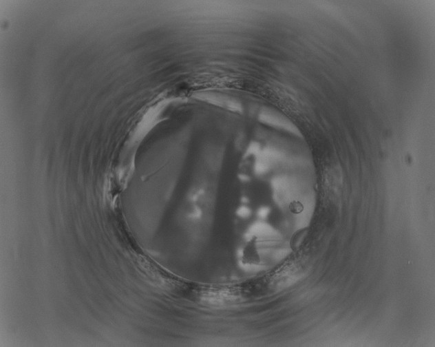 X0000077290177200611031559