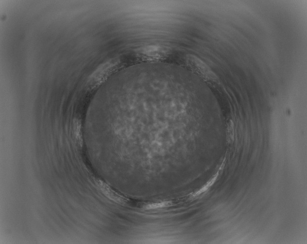 X0000077290178200611031559