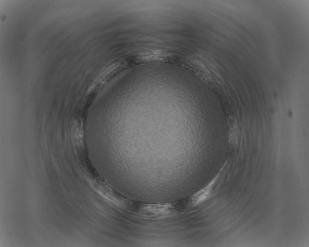 X0000077290179200611031559