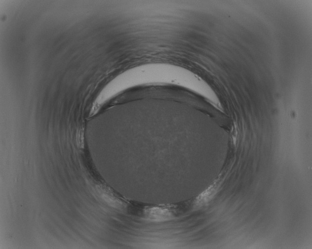 X0000077290180200611031559