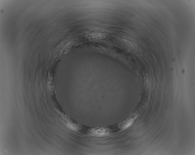 X0000077290181200611031559