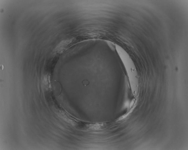 X0000077290182200611031559