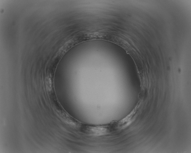 X0000077290183200611031559