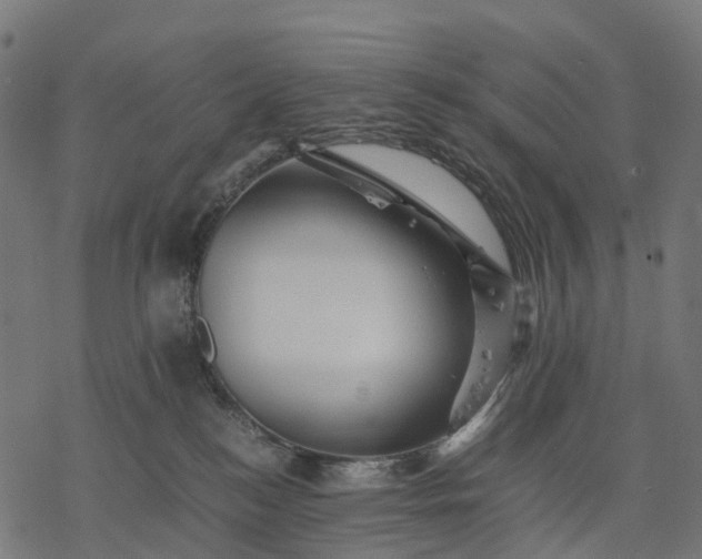 X0000077290184200611031559