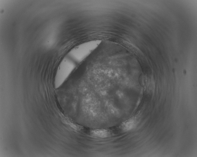 X0000077290189200611031559