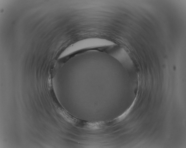 X0000077290190200611031559