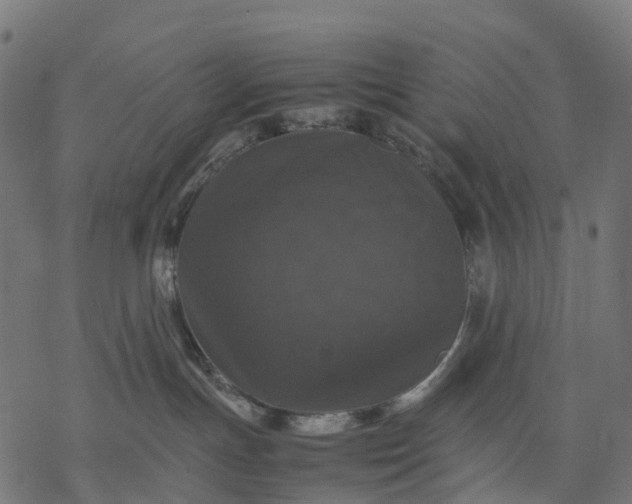 X0000077290191200611031559