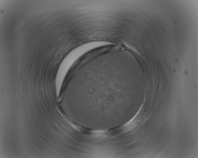 X0000077290192200611031559