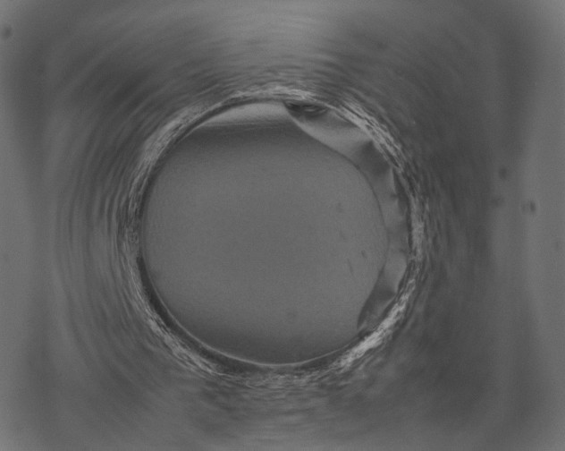 X0000077290193200611031559