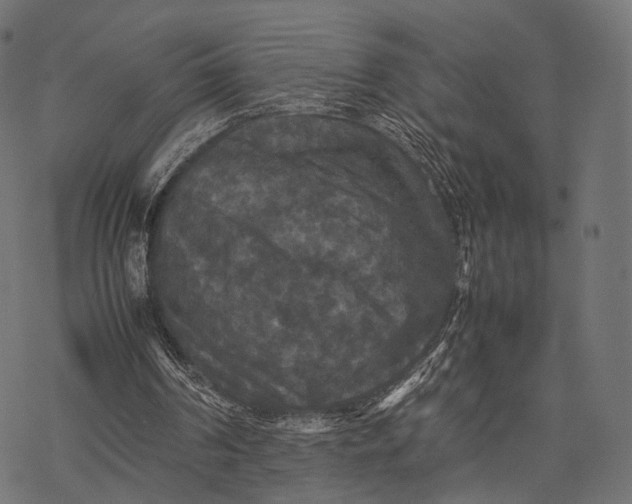 X0000077290194200611031559