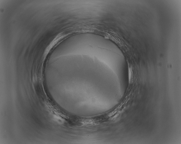 X0000077290195200611031559