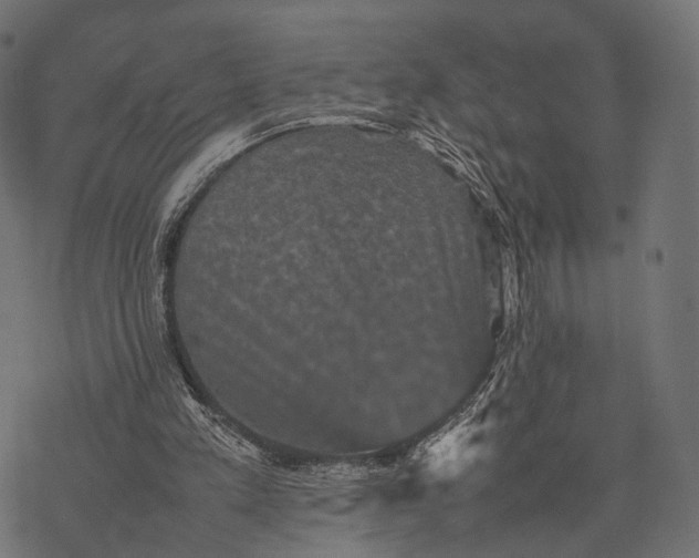 X0000077290197200611031559