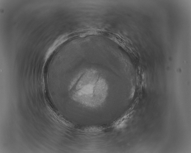 X0000077290198200611031559