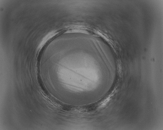 X0000077290199200611031559