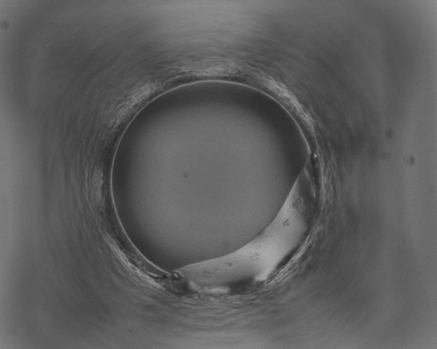 X0000077290201200611031559