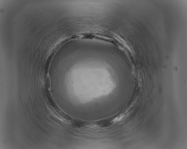 X0000077290203200611031558