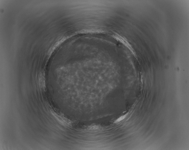 X0000077290204200611031558