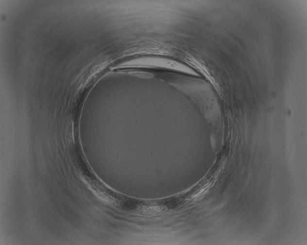 X0000077290205200611031558