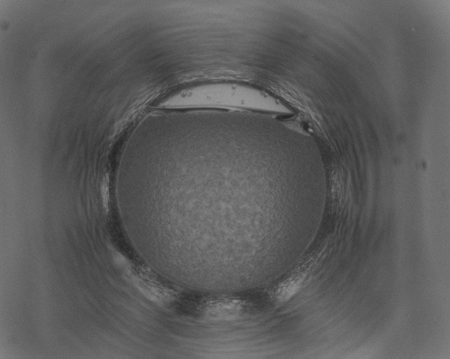 X0000077290206200611031558