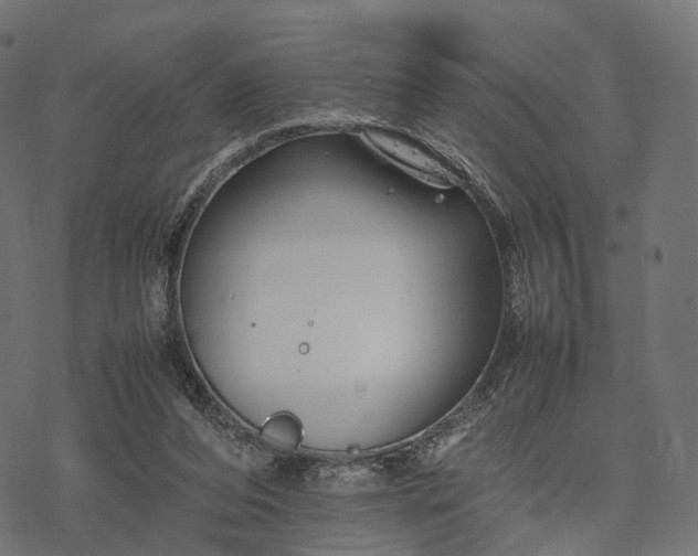 X0000077290208200611031558