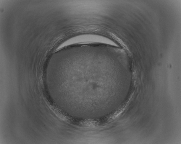 X0000077290209200611031558