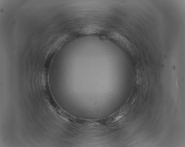 X0000077290210200611031558